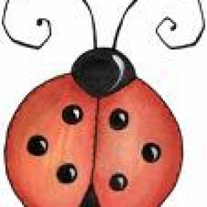 Ladybugs Event Planning & Rental - Linens/Chair Covers in Waterloo, Iowa