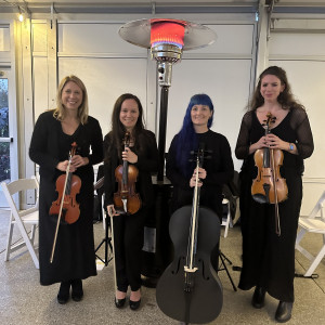 Lake Geneva Quartet - String Quartet / Wedding Entertainment in Lake Geneva, Wisconsin