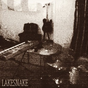 Lakesnake - Rock Band in Austin, Texas