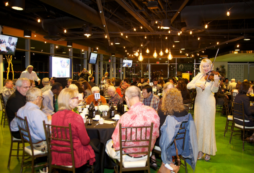Hire Las Vegas Violinist Violinist in Las Vegas, Nevada
