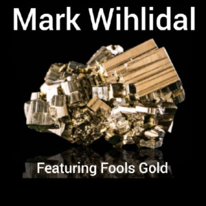 Mark Wihlidal and Fools Gold - Cover Band in Oshawa, Ontario