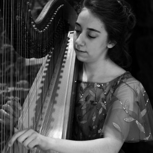 Lauren Swain, Harpist - Harpist / Multi-Instrumentalist in Needmore, Pennsylvania