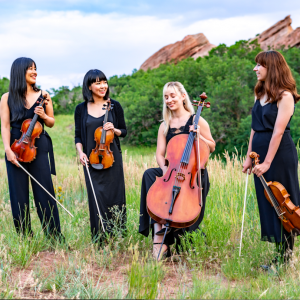 Lavandula Strings - String Quartet / Wedding Entertainment in Denver, Colorado