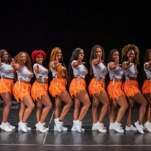 Lavish Luxe Ladies - Dance Troupe in New York City, New York