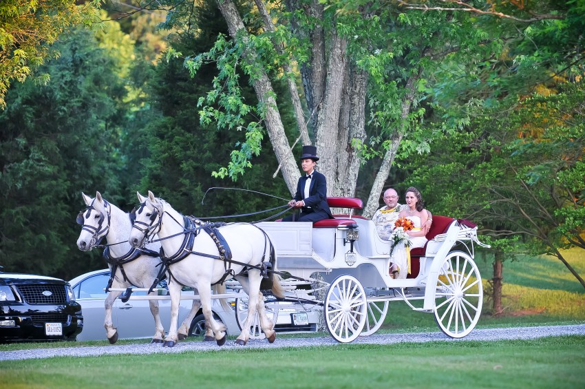 Hire Lexington Carriage Company Horse Drawn Carriage in Lexington