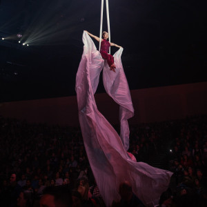 Leylen Aerial - Aerialist in Houston, Texas