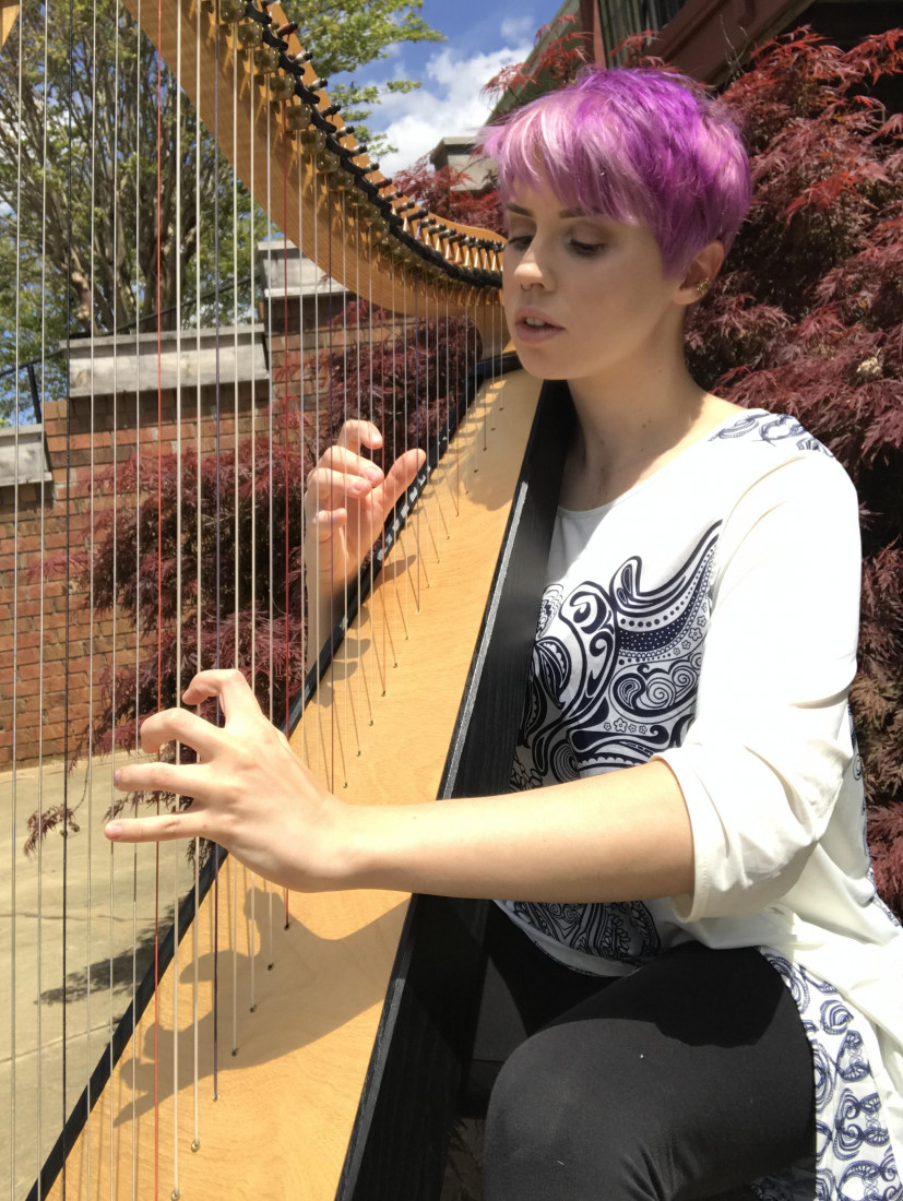 Hire The Enchanted Harpist Harpist in Greenville, South Carolina