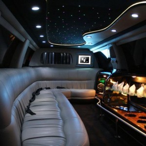 Limo and Party Buses