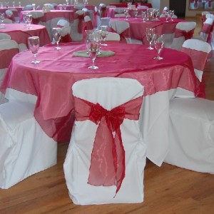 Linens On The Go! - Linens/Chair Covers / Party Rentals in Topeka, Kansas