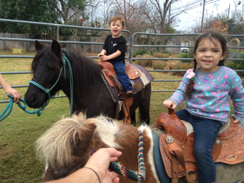 Gallery photo 1 of Little Stinkers Pony Party and Zoo