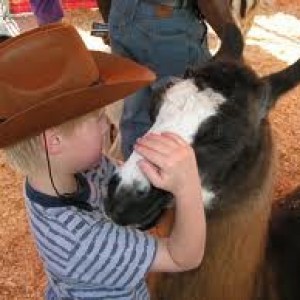 LittleOne Zoo - Petting Zoo / Family Entertainment in Gainesville, Florida