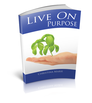 Gallery photo 1 of Live ON Purpose with Christina Marie