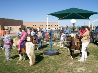 Gallery photo 1 of L&M Pony Rides and Petting Zoo