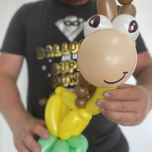 Locally Twisted LLC - Balloon Twister / Balloon Decor in Salt Lake City, Utah