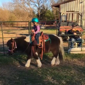 Lone Star Horse Services and Parties