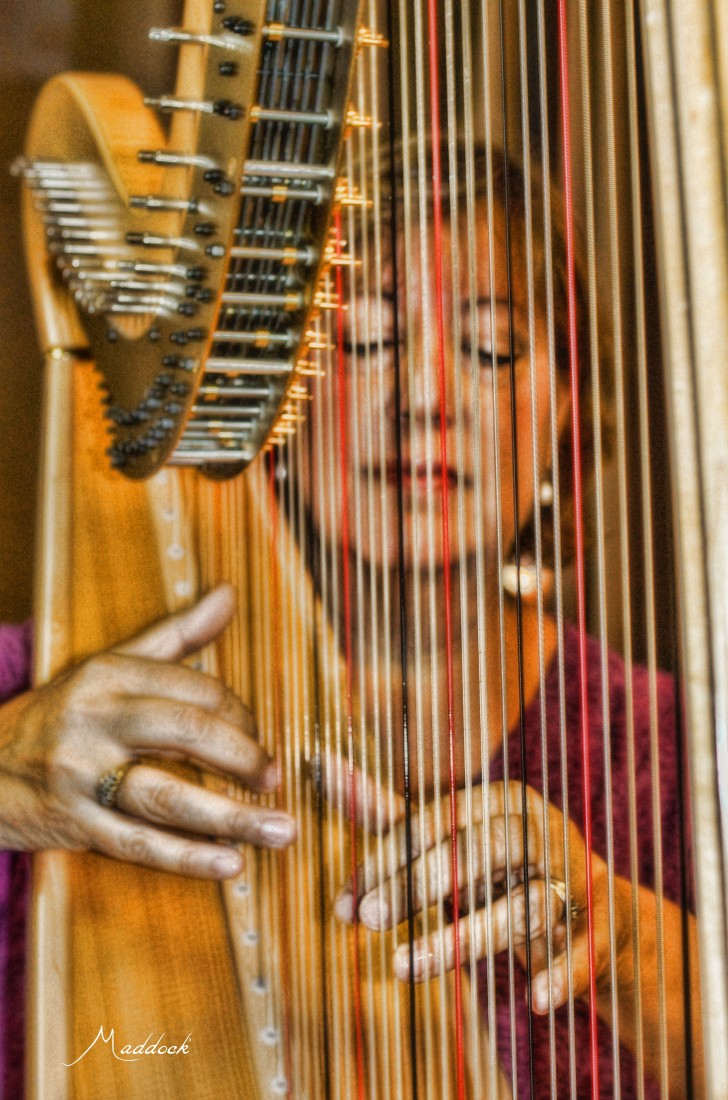 Gallery photo 1 of Lorelei Kaiser Barton - Harpist