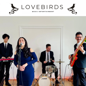 Lovebirds - Cover Band / Wedding Musicians in New York City, New York