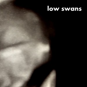 Low Swans - Alternative Band in Chicago, Illinois
