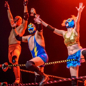 Luchafer Mexican Wrestling 