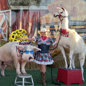 Lucy's Llamas and Celebrity Animals - Petting Zoo in Myakka City, Florida