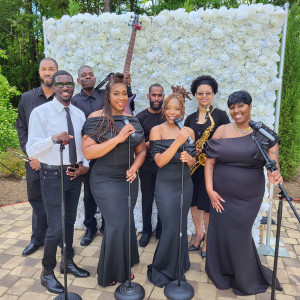 Luv Soundz - Party Band in Paw Creek, North Carolina