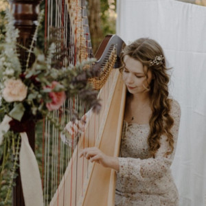 Lynden’s Harp Music - Harpist / Tea Party in Greenville, South Carolina