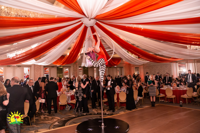 Hire Lyrical Lyra Aerialist in Yorkville, Illinois