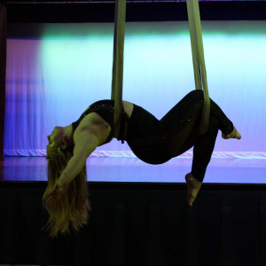 Madds Aerial Artist - Aerialist in Nashville, Tennessee