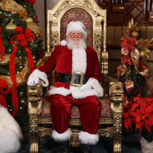 Magical Santa's & Magic Show by Mrs. Claus - Santa Claus / Storyteller in Orange Park, Florida