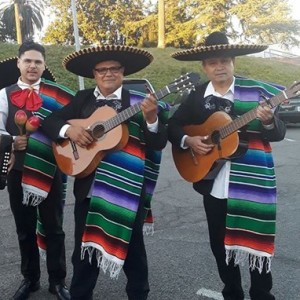 Mariachi Trio El Mexicano
