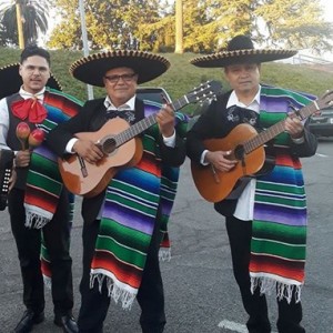 Mariachi Trio El Mexicano - Mariachi Band / Wedding Musicians in Vallejo, California