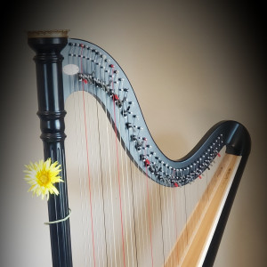 Makayla's Musical Melodies - Harpist in American Fork, Utah