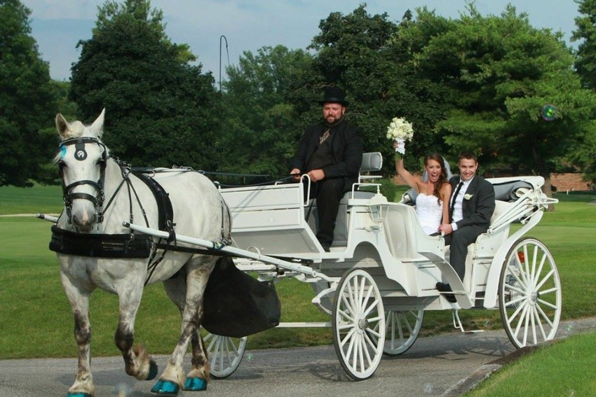 Gallery photo 1 of Mane Event Carriages