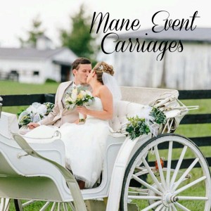 Mane Event Carriages