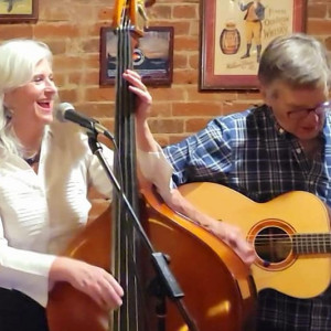 Manitou Strings - Americana Band / Bluegrass Band in Manitou Springs, Colorado