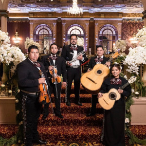 Mariachi 3 Generations - Mariachi Band in Downey, California