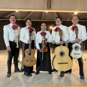 Mariachi Acero del Valle