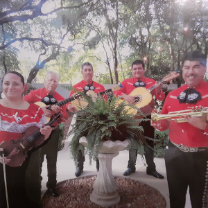 Mariachi Alma de Jalisco - Mariachi Band / Latin Jazz Band in San Antonio, Texas
