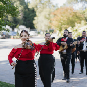 Mariachi Bohemio - Mariachi Band / Folk Singer in Ontario, California