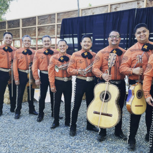 Mariachi Cantares De Mexico