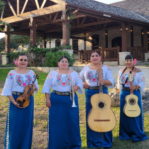 Mariachi De Mi Rancho - Mariachi Band / Wedding Musicians in San Antonio, Texas