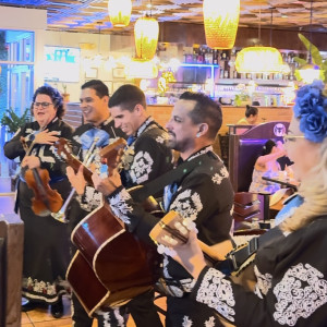 Mariachi Guadalupano Swfl - Mariachi Band in Cape Coral, Florida