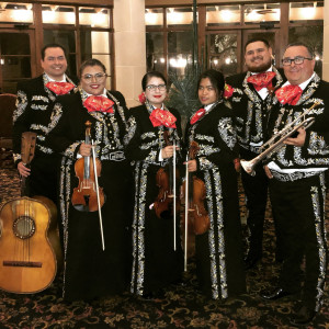 Mariachi Huasteca - Mariachi Band / Wedding Musicians in Corpus Christi, Texas