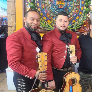 Mariachi Los Buchones