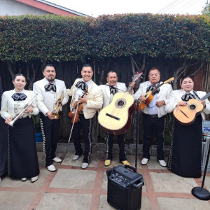 Mariachi Mexico Lindo de California - Mariachi Band in West Covina, California