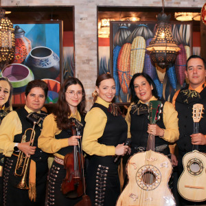 Mariachi Oro Internacional Orlando - Mariachi Band in Orlando, Florida