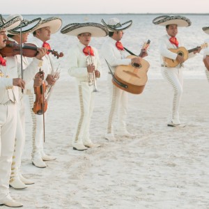 Mariachi Sonidos De Mexico