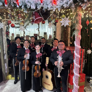 Mariachi Tradición Mexicana - Mariachi Band in Dallas, Texas