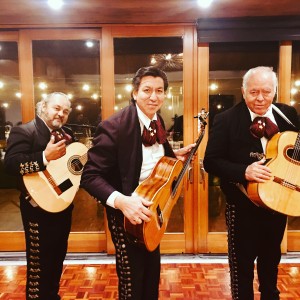 Mariachi Trio Estrellas De Oro