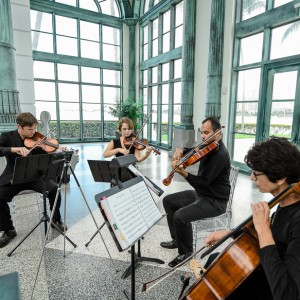 Master Musicians, Inc. - Classical Ensemble / Cellist in Delray Beach, Florida